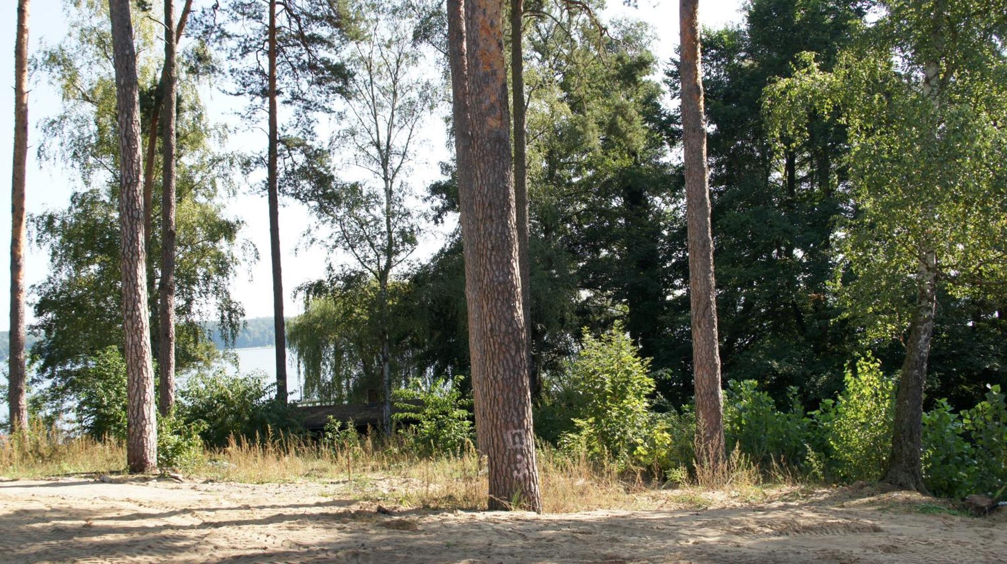 Marina Maisonette Seeblick Mit Pool Und Sauna Bad Saarow Eksteriør billede